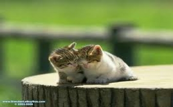 Mọi thứ đều là ân nghĩa